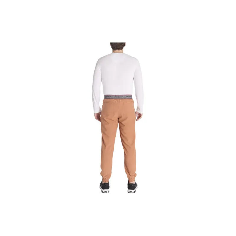 Dickies Casual Pants Men's Ginger Yellow-1