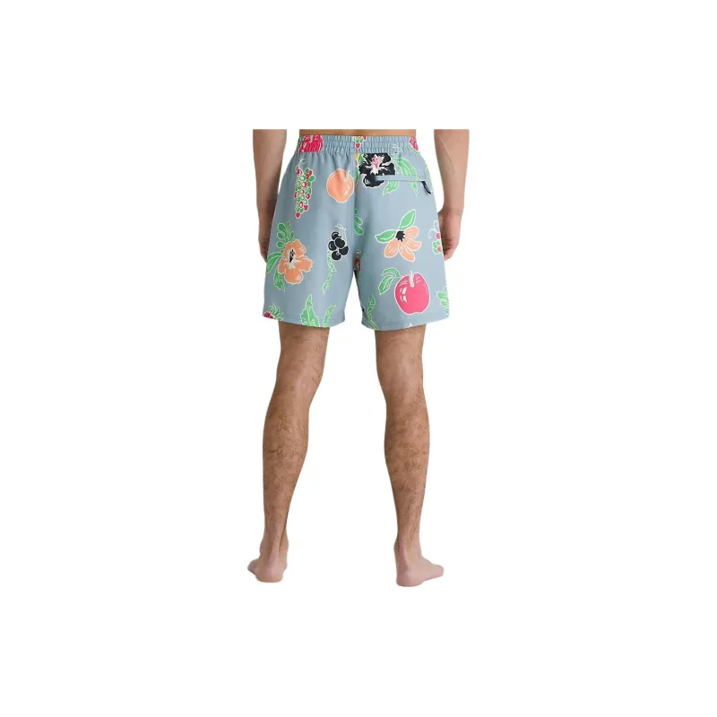 Vans Primary Print Elastic 17'' Boardshorts Casual Shorts Men's Blue-3