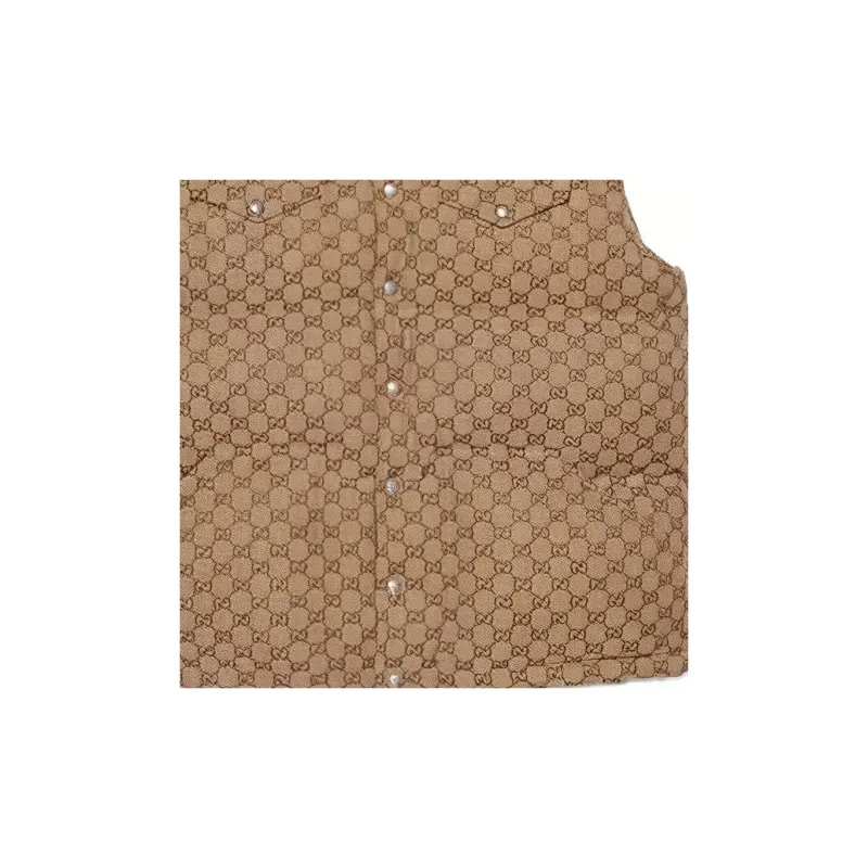 GUCCI X The North Face Down Vest-4