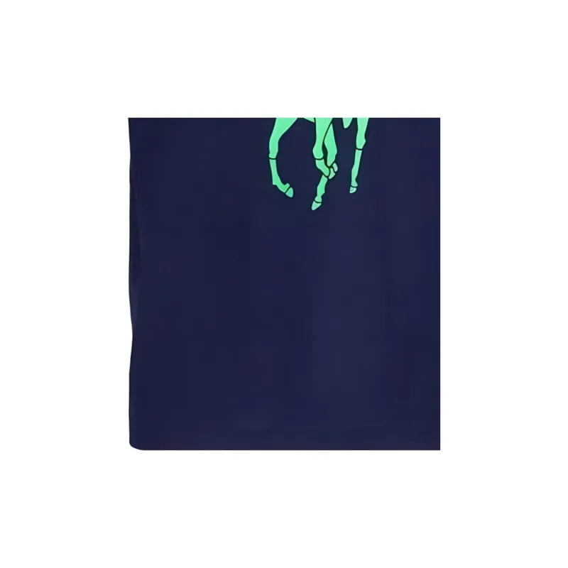 Polo Ralph Lauren SS23 T Shirt Men's Blue-4