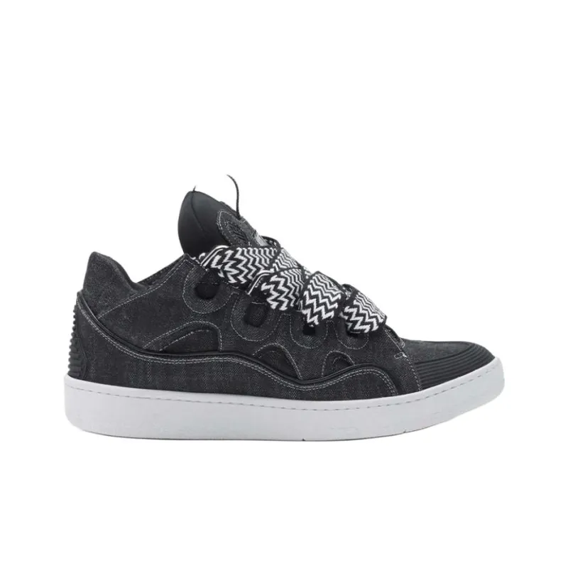 Lanvin Curb Low Top Skateboard Shoes Men's Black-1