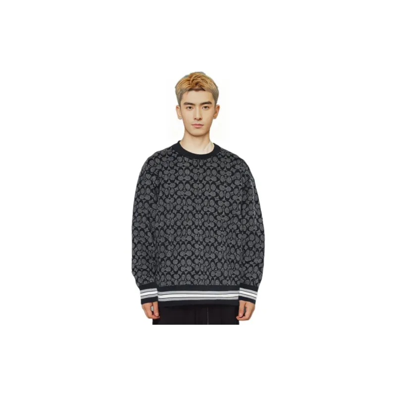 COACH FW22 Sweater Men's Color Carbon Gray-3