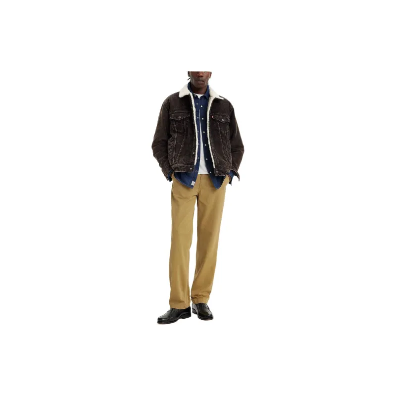 Levi's Casual Pants Men's Brown-1