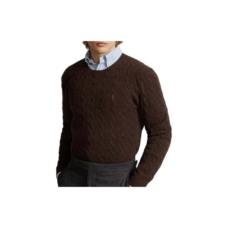Polo Ralph Lauren Sweaters Men Brown-3