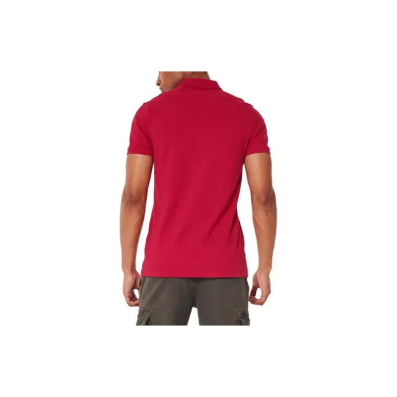 Hollister Polo Shirts Men-9