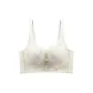 Champagne White