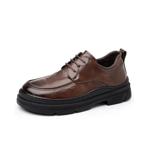 Mr. Thorn Tree Men's Casual Shoes Men Low-Top Brown