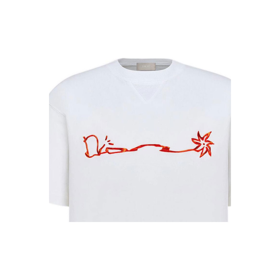 DIOR X Cactus Jack Oversized T-shirt - POIZON