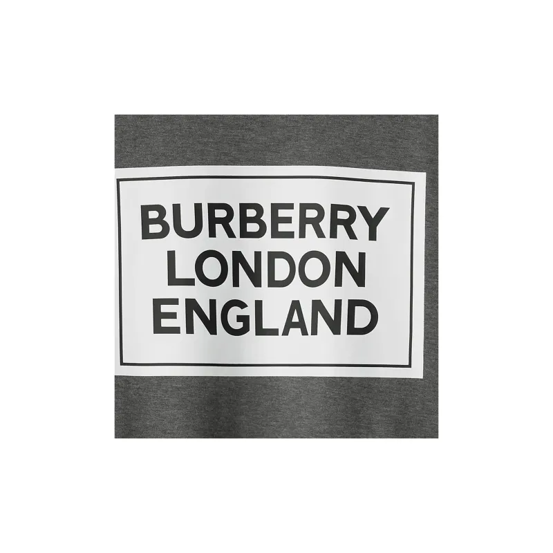 Burberry T Shirt Men's Dark Gray-7