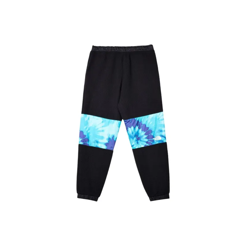THE NORTH FACE Sns Denali Fleece Pant-1