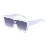 White Frame with White Top and Transparent Bottom Dual Gray Lens