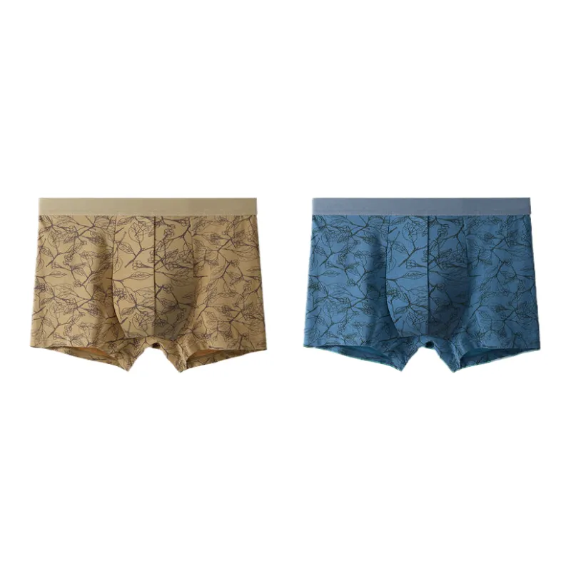 Lan Miao Underpants Men's 2 Pack-5