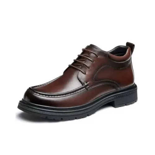 CAMEL Dress Shoes Men Low-Top
