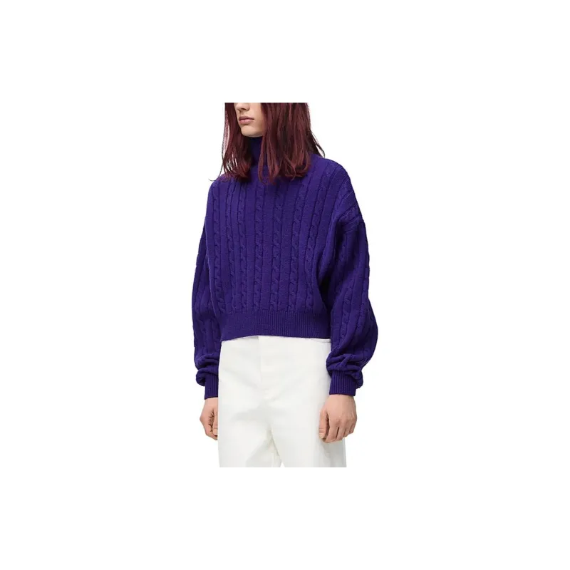 LOEWE FW24 Sweater Men's Purple-1