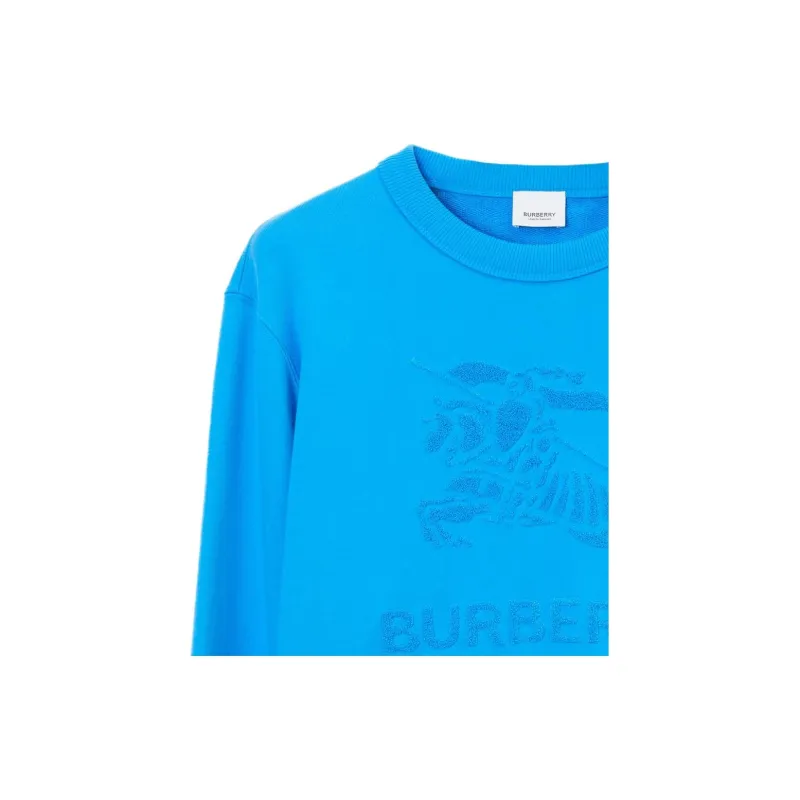 Burberry Sweatshirts Men Sky Blue-4