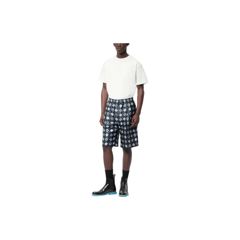 LOUIS VUITTON 2010s Printed Shorts-1