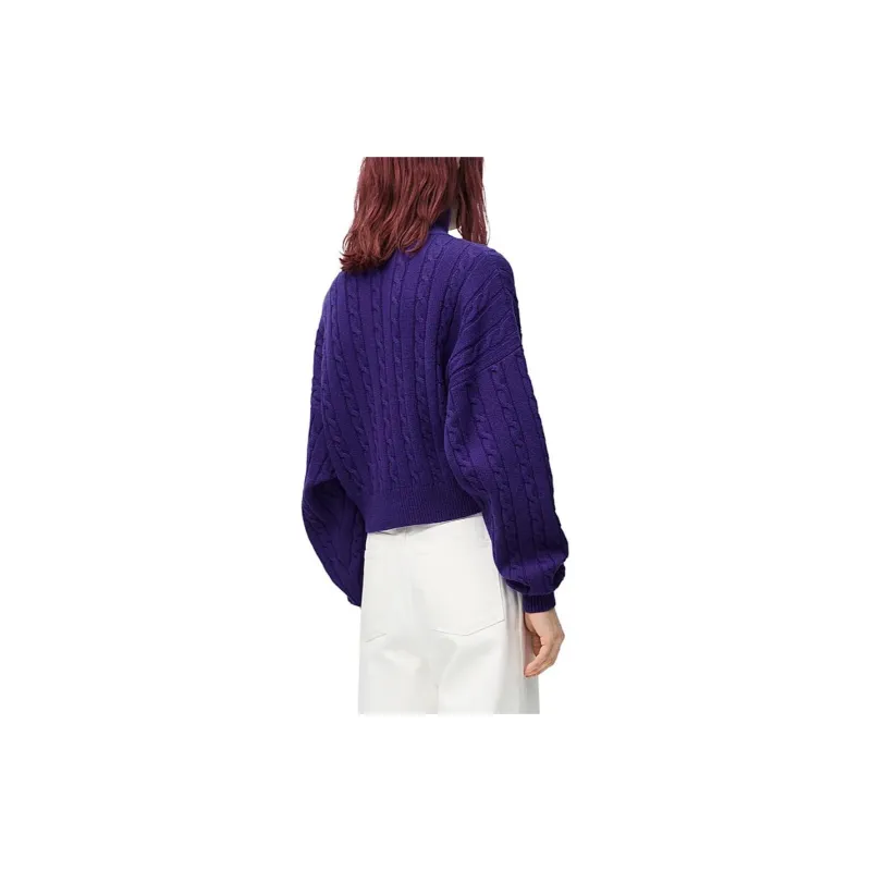 LOEWE FW24 Sweater Men's Purple-2