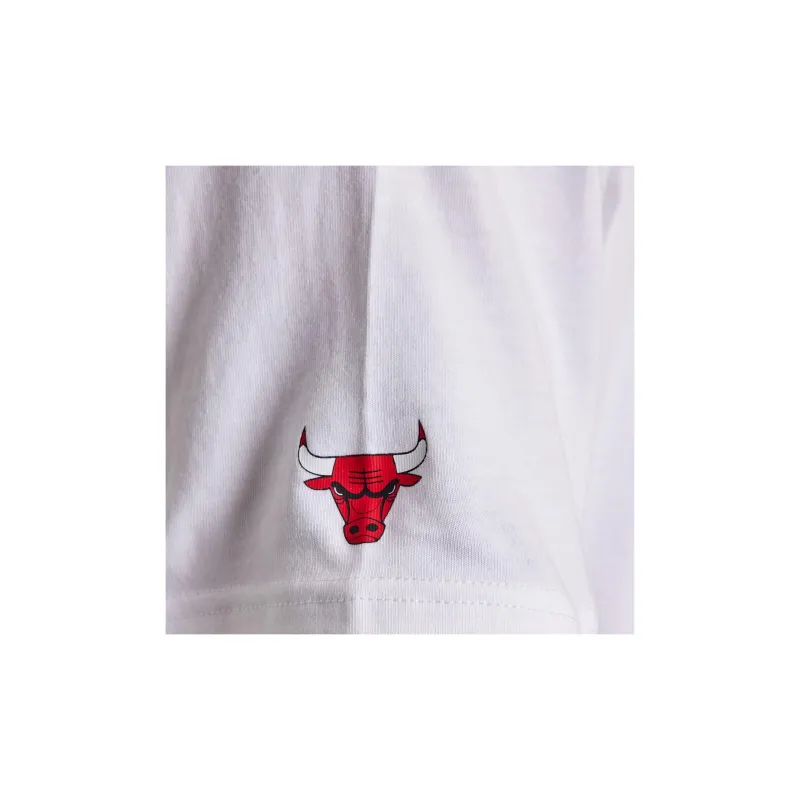 Jordan NBA Max90 T-Shirt Chicago Bulls Men's White-4