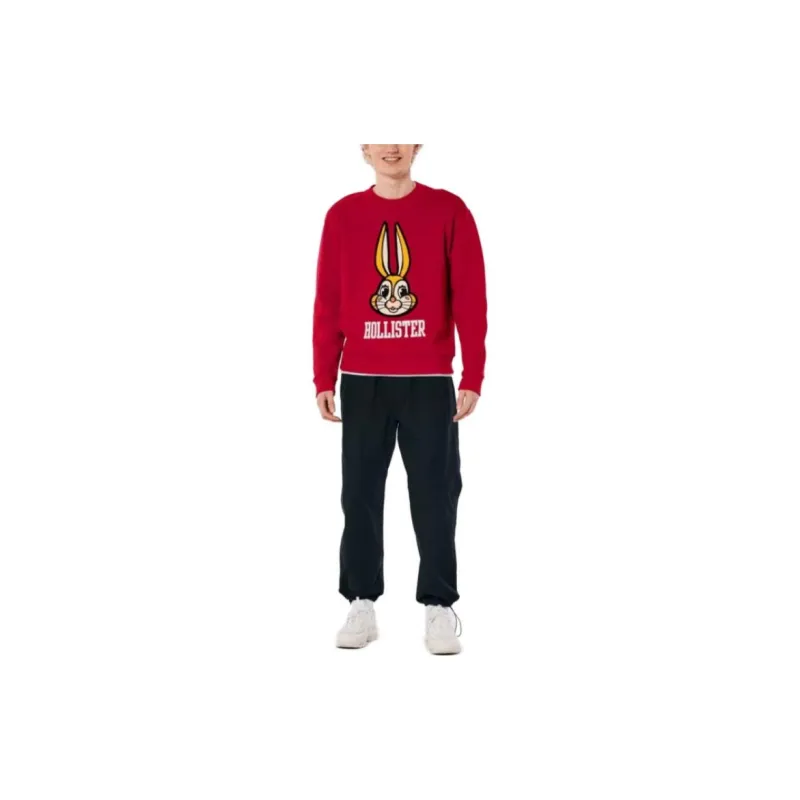 Hollister Sweatshirts Men Red-1