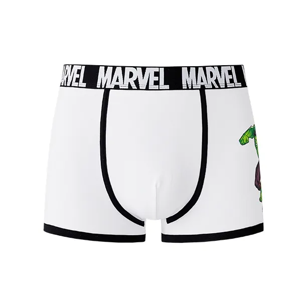 Disney Marvel Series Underpants Men's Hulk-1