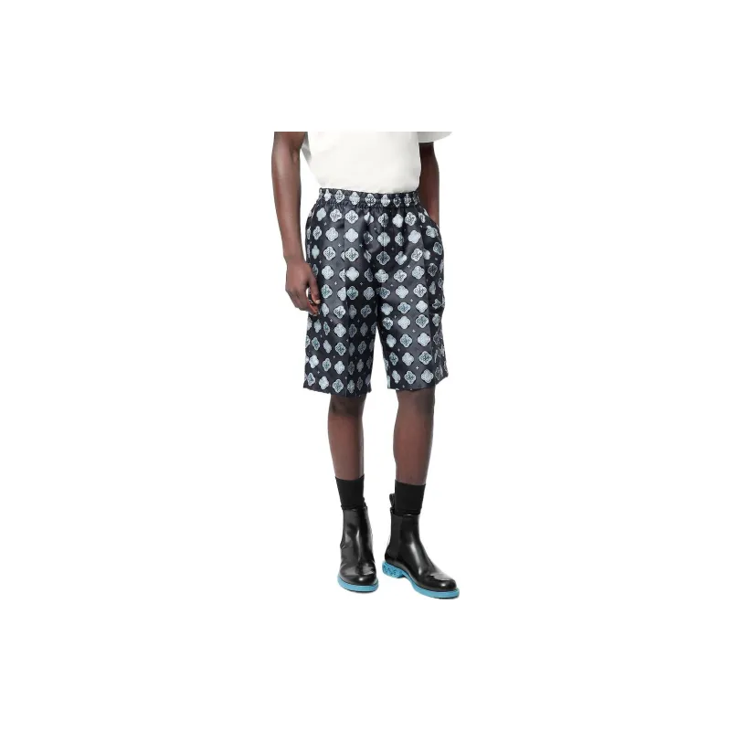 LOUIS VUITTON 2010s Printed Shorts-3