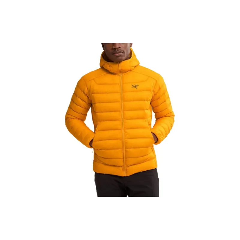 Arc'teryx Cerium Hoodie Jacket-7