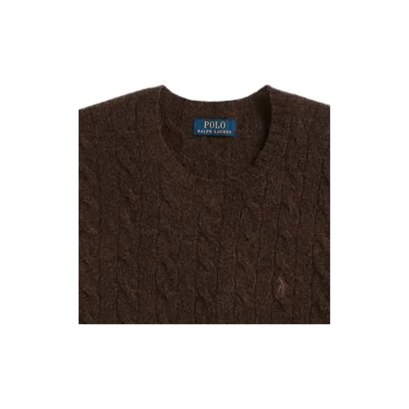 Polo Ralph Lauren Sweaters Men Brown-4