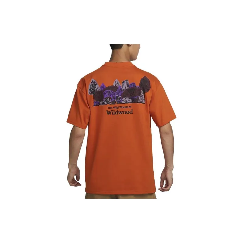 Nike Acg Wildwood T shirt-4