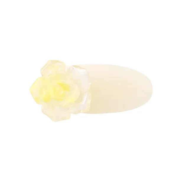 Crafts Women's Resin Hair Clips Women's-2