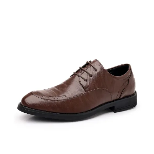 Mr. Thorn Tree Casual Shoes Men's Brown