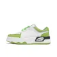 Ginkgo Green