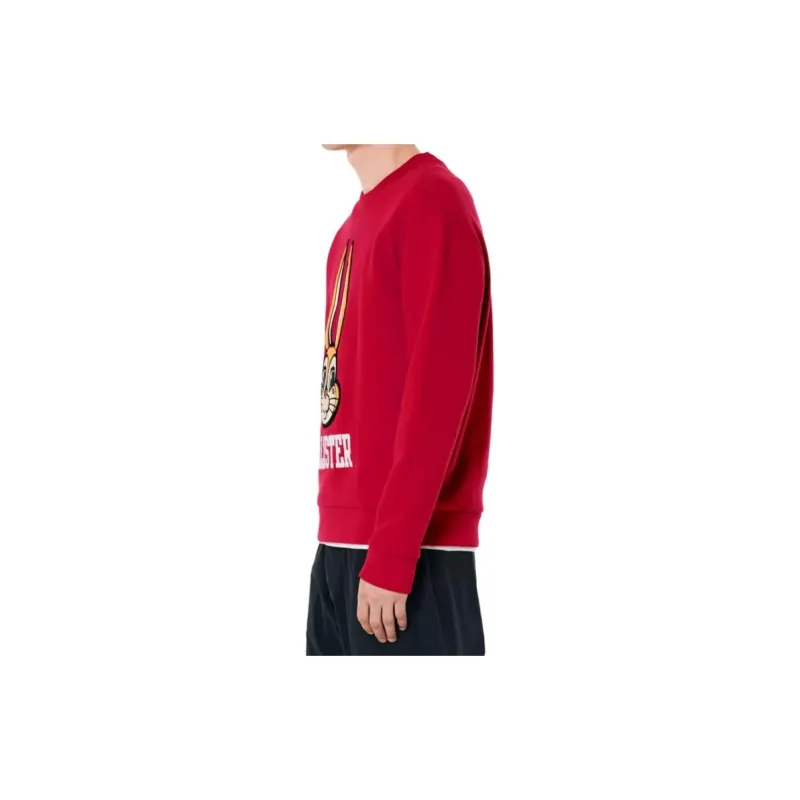 Hollister Sweatshirts Men Red-2
