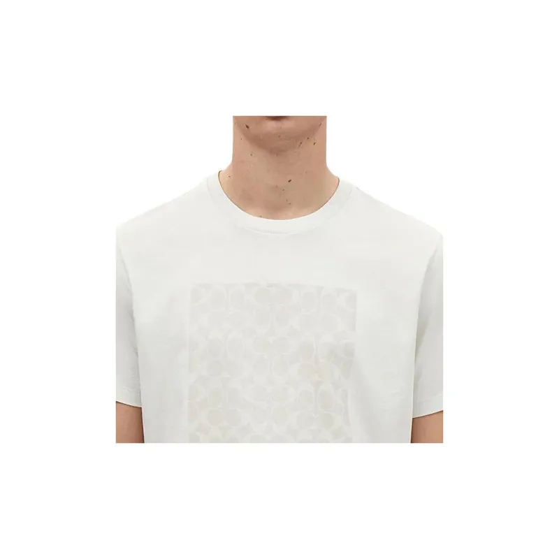 COACH SS24 T Shirt Men's Gray White-9