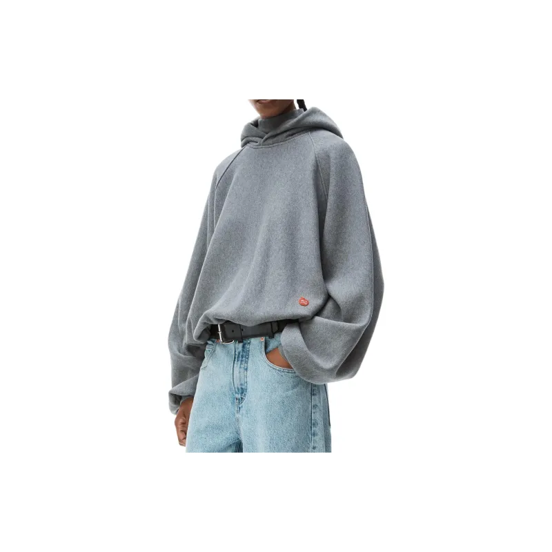 Alexander Wang SS24 Sweatshirt Unisex Gray-3