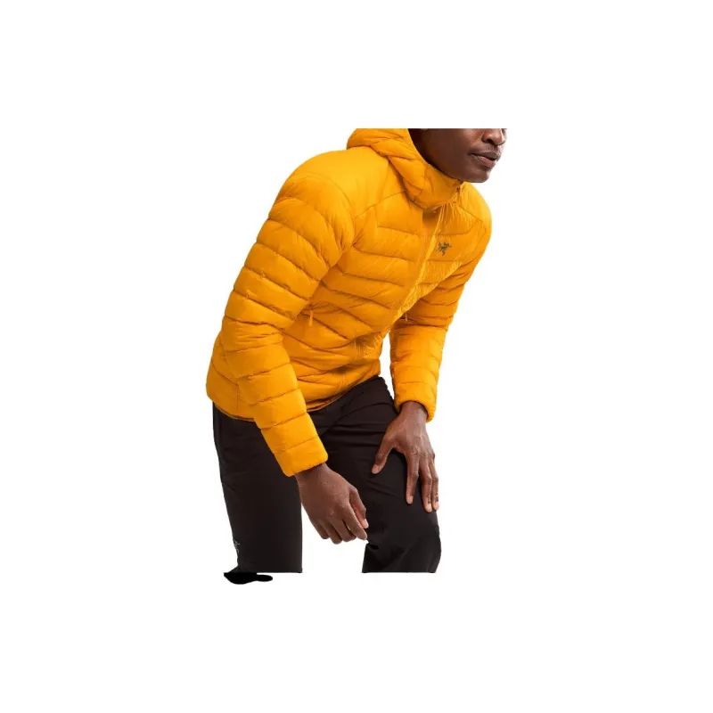 Arc'teryx Cerium Hoodie Jacket-9