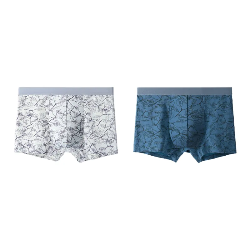 Lan Miao Underpants Men's 2 Pack-8