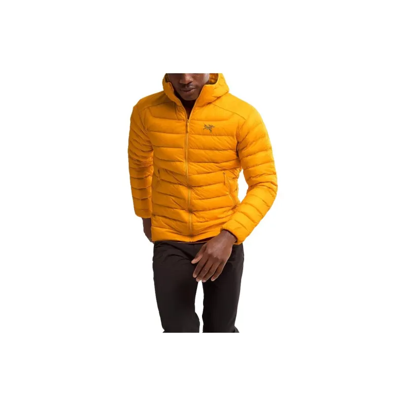 Arc'teryx Cerium Hoodie Jacket-8