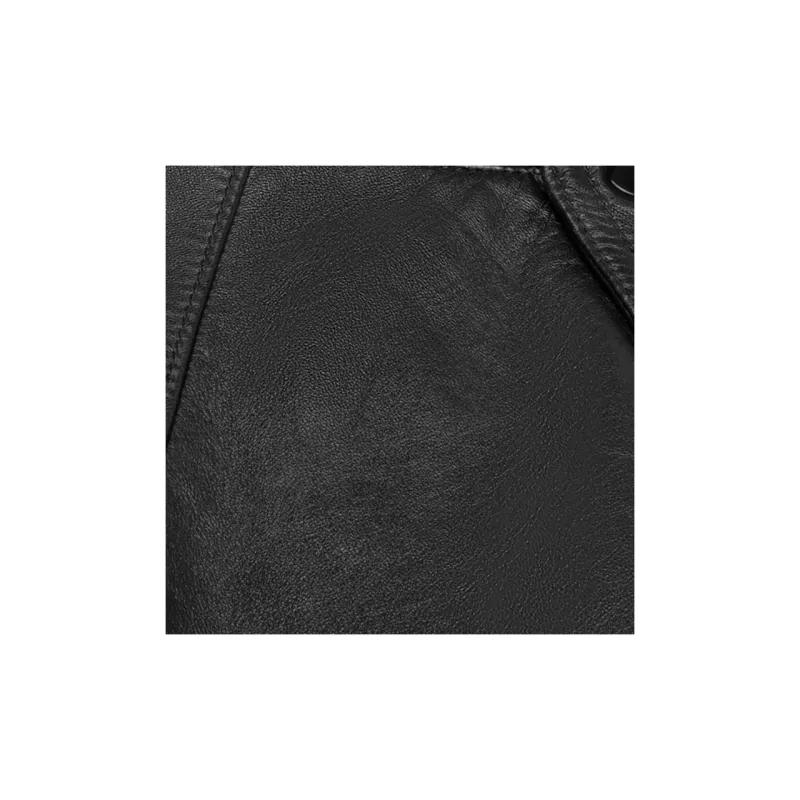 CELINE FW23 Leather Jacket Men's Black-3