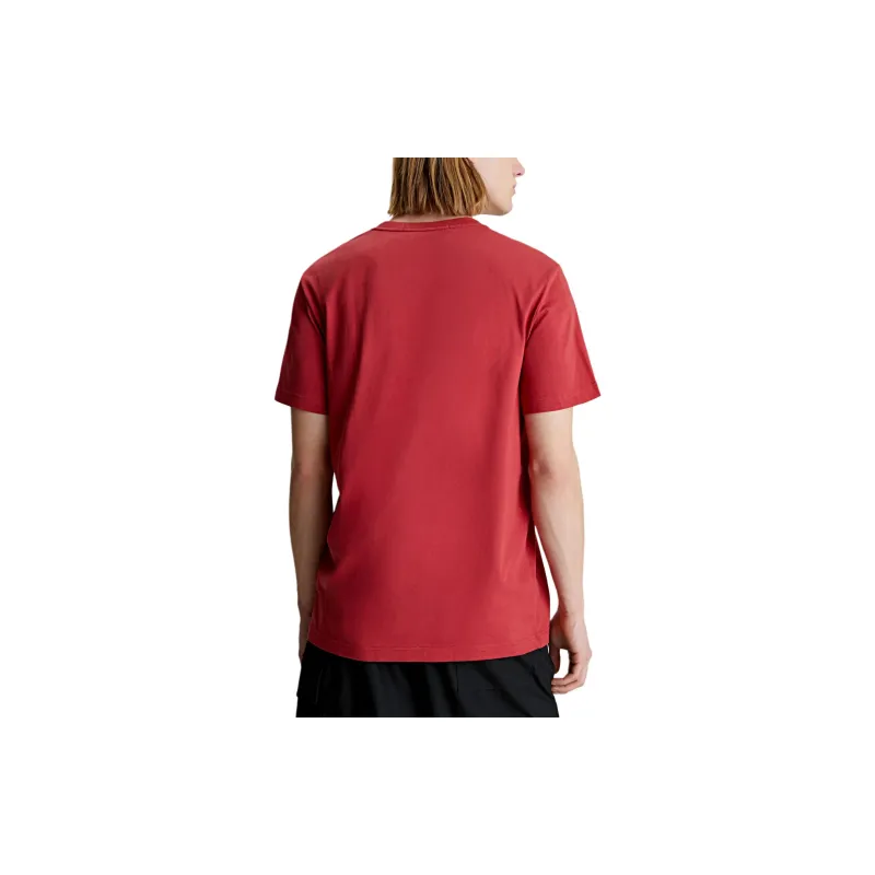 CALVIN KLEIN T Shirt Men's Garnet Red Europe Version-3