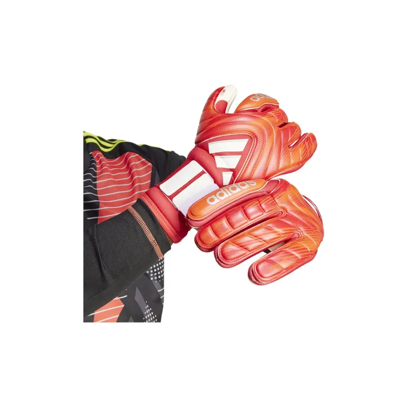 Adidas Goalkeeper Gloves-2