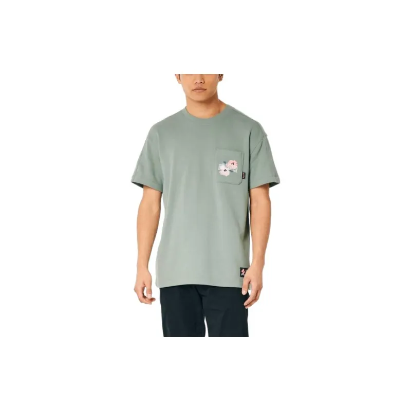 Hollister T-Shirts Unisex Sage Green-3