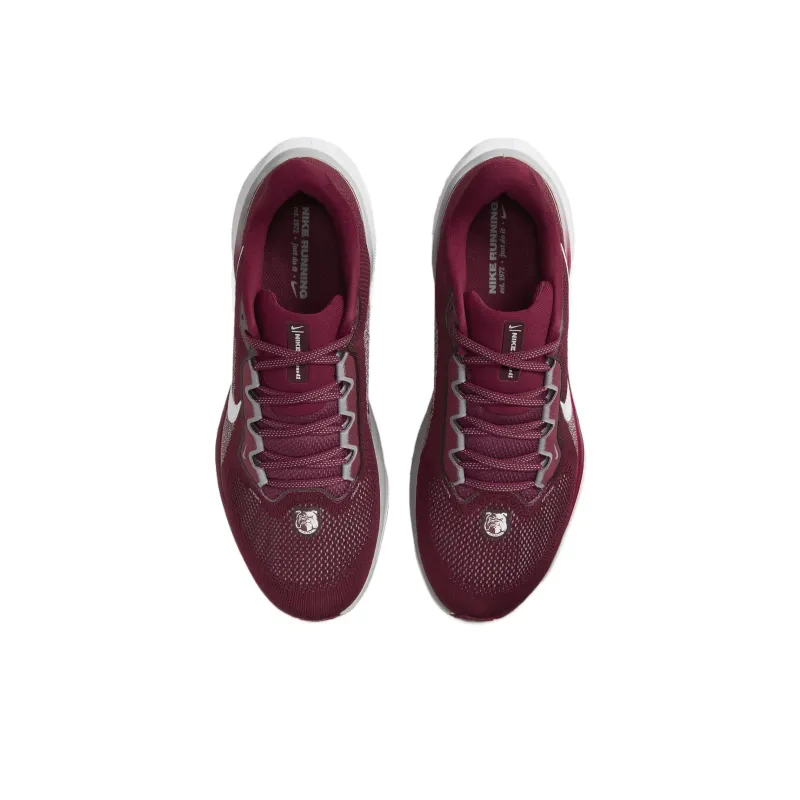 Nike Air Zoom Pegasus 41 Aamu-3