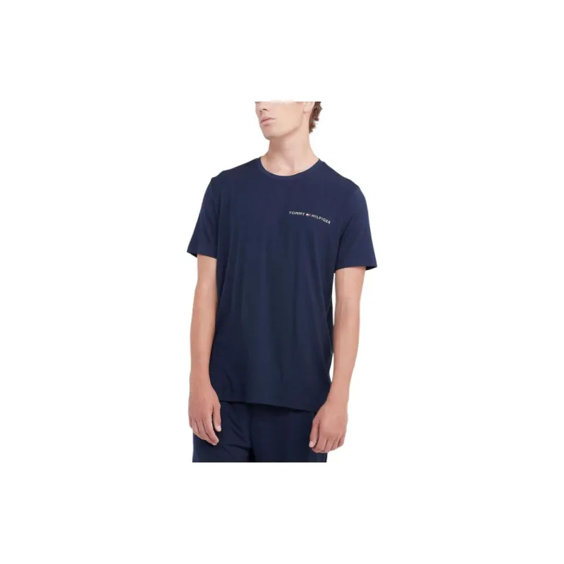 Tommy Hilfiger T Shirt Men's Blue-3