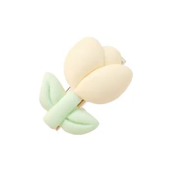 Crafts Women's Resin Hair Clips Women's