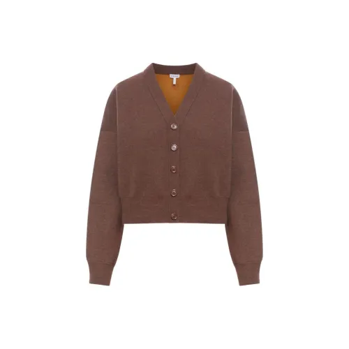 LOEWE Knitwear Women's Brown Beige