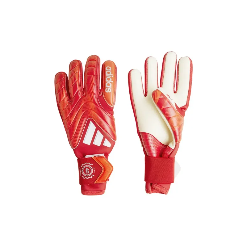 Adidas Goalkeeper Gloves-0