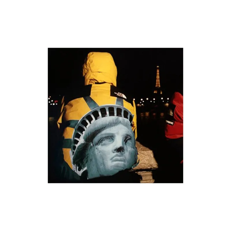 Supreme The North Face Statue Of Liberty Baltoro Jacket-3