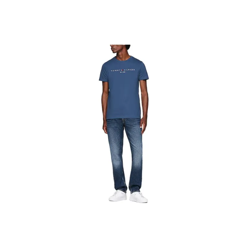 Tommy Hilfiger T Shirt Men's Blue-1