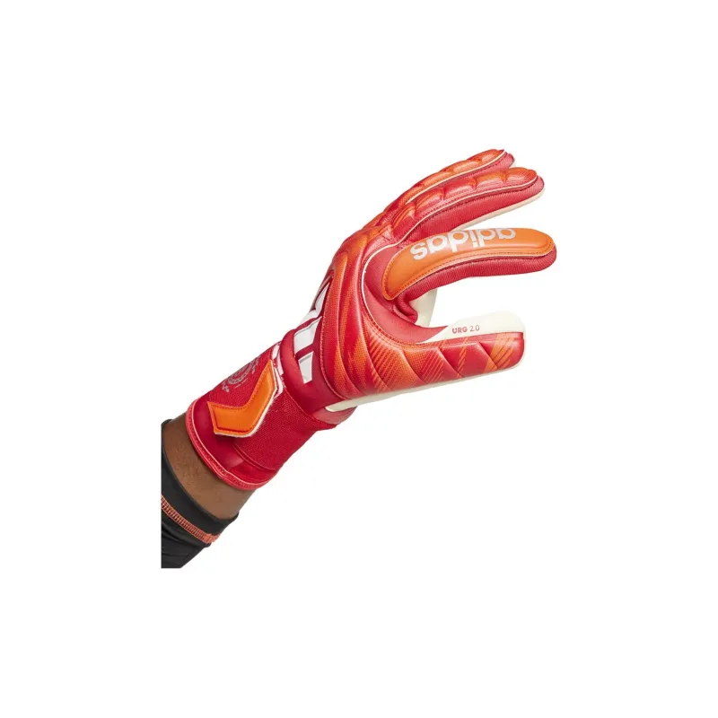 Adidas Goalkeeper Gloves-1