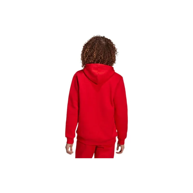 Adidas Originals Adicolor Essentials Trefoil Hoodie-2